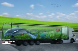 Fish Tank Truck